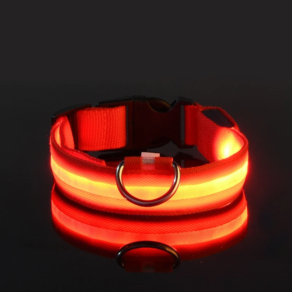 Lumi Leash™ – LED Safety Dog Leash