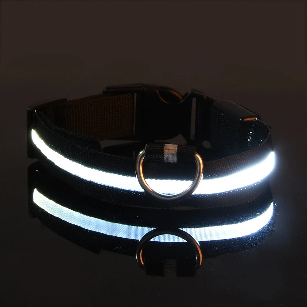 Lumi Leash™ – LED Safety Dog Leash