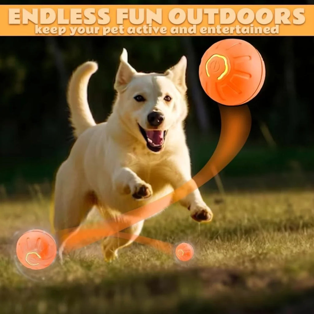 BounceBuddy™