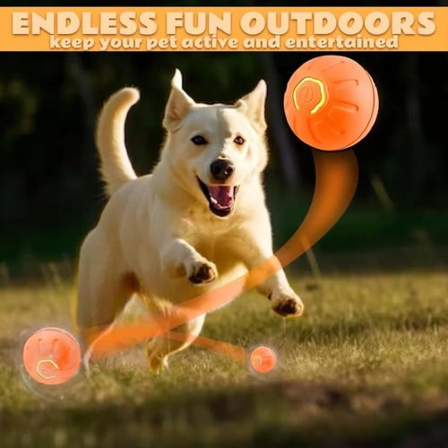 BounceBuddy™