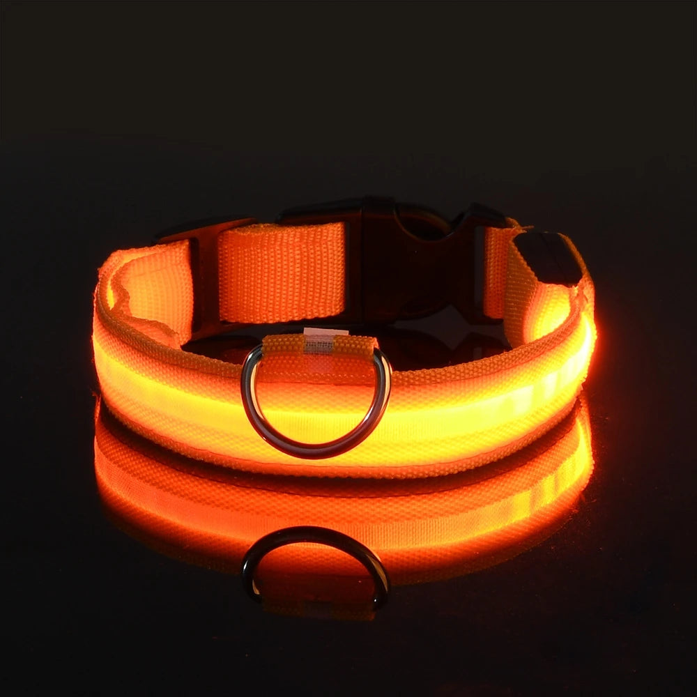 Lumi Leash™ – LED Safety Dog Leash
