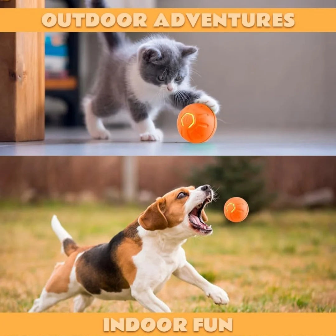 BounceBuddy™