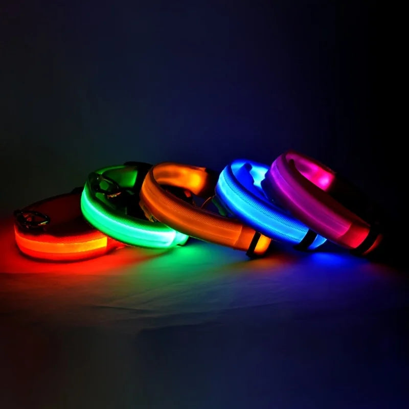 Lumi Leash™ – LED Safety Dog Leash