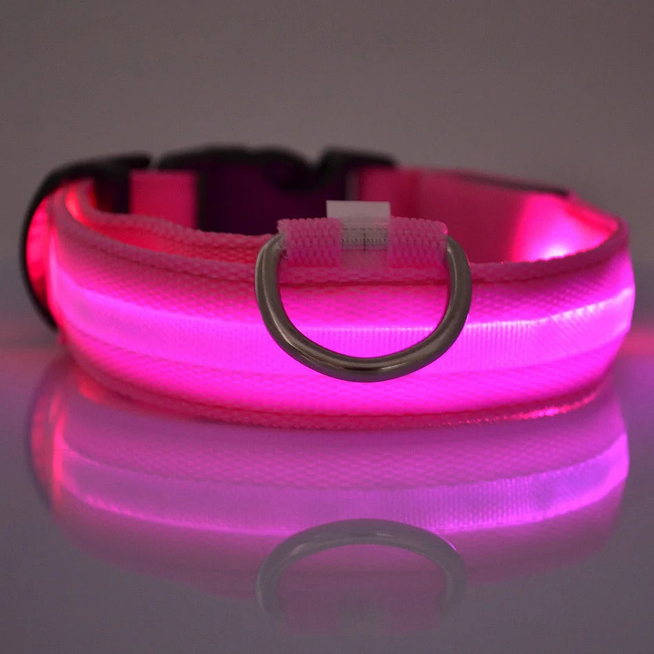 Lumi Leash™ – LED Safety Dog Leash