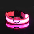 Lumi Leash™ – LED Safety Dog Leash